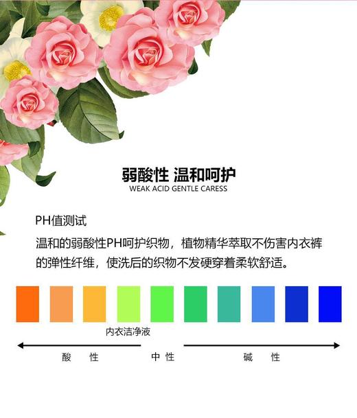 3大瓶倍尔洁网红内衣内裤清洗液洗衣液500ml*3瓶 商品图3