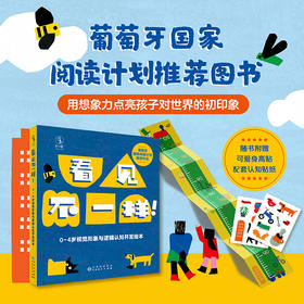 看见不一样！0—4岁视觉形象与逻辑认知开发绘本【未小读S码】【0-4岁】