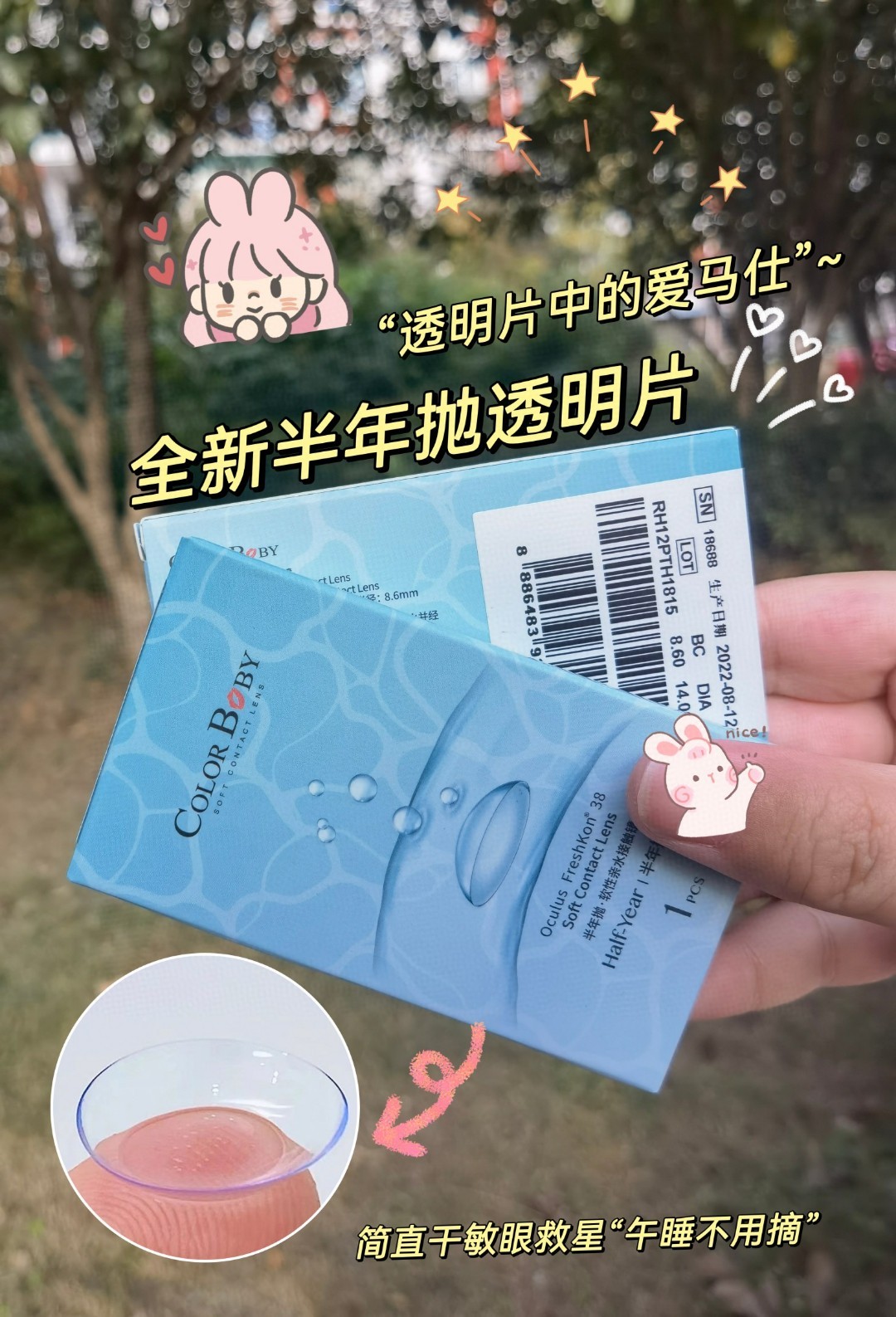 半年抛透明片 新加坡进口半年抛