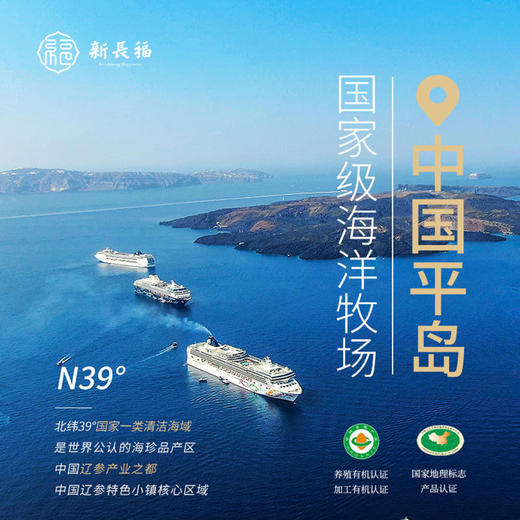 即食海参无需泡发  6根装 商品图1