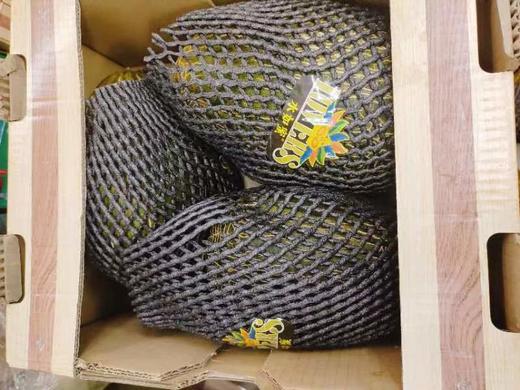 黑金蜜瓜一个 商品图1