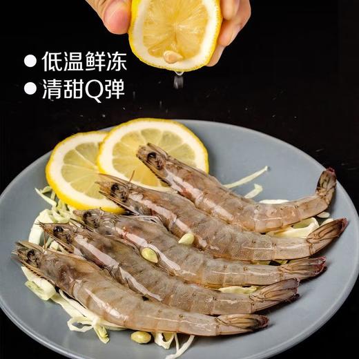 凌鲜鲜冻白对虾1.4kg【分仓直发，72小时发货，周末节假日不发货】 商品图4