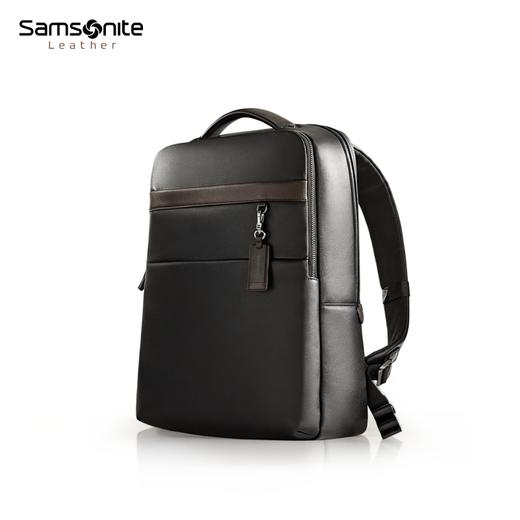 新秀丽ERIC系列牛皮革商务双肩包BC9*010 商品图1