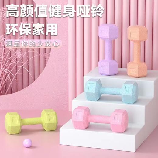 星罗新款女士哑铃家用练臂肌可做俯卧撑瑜伽六角包胶小哑铃1对-M仓 商品图0