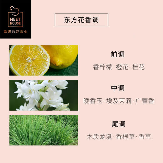 夜色阑珊处 50ml 100ml 商品图1