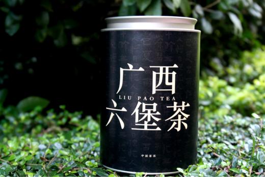 【高山茶区 菌香醇和】故茗 2019金花六堡茶 广西梧州 125g/250g罐 商品图1
