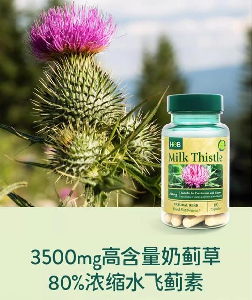 【清仓好价】英国HB荷柏瑞奶蓟草胶囊飞蓟护肝净肝片30粒（瓶身瑕疵） 商品图2