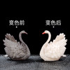 星罗唐丰一对茶宠变色天鹅家用可养创意个性茶玩茶台摆件-M仓 商品缩略图1