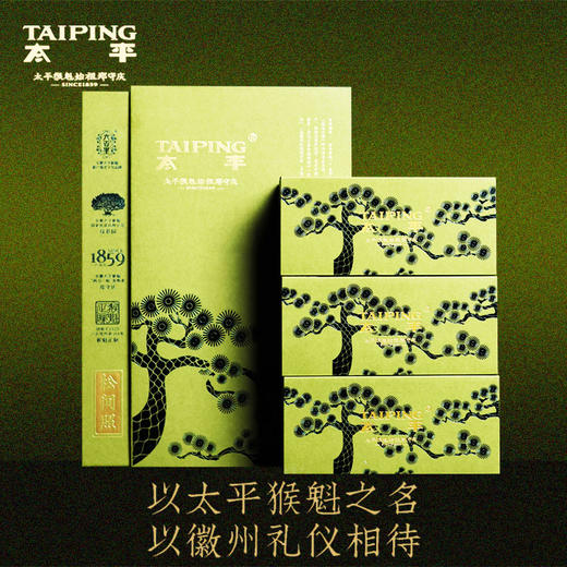 六百里茶叶 太平猴魁  松间照一级 60g 香气清高 兰香悠长 自饮矜贵 商务礼赠 48小时发货 商品图0