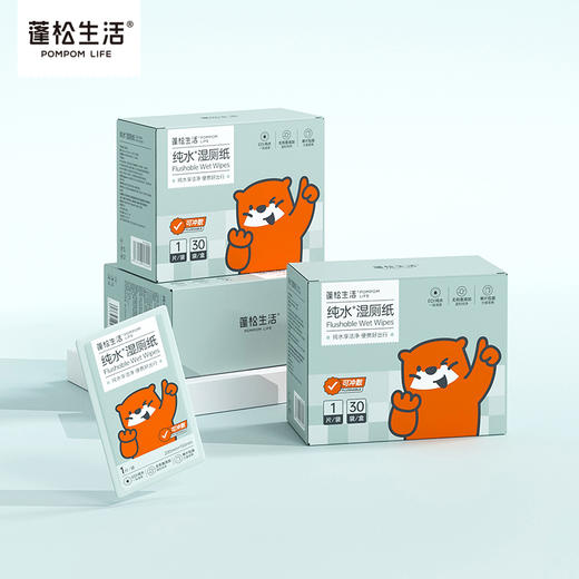 蓬松生活纯水湿厕纸单片独立装10抽纸便携湿厕纸可冲散男女擦屁屁 商品图1