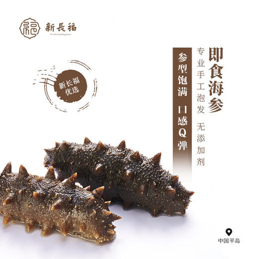 即食海参无需泡发  6根装 商品图4