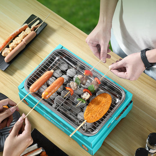 烧烤炉一次性烧烤炉家用户外野餐果木炭碳烤炉小型便携式烧烤架 商品图3