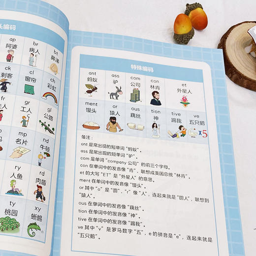 《满分记忆红宝书·速记英语单词》 商品图8