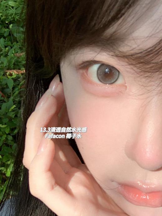 fafacon 半年抛 椰子水 直径14.2mm着色13.3mm 商品图3