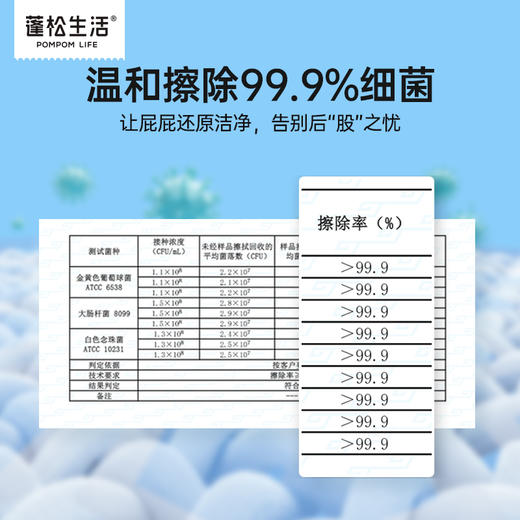 蓬松生活纯水湿厕纸单片独立装10抽纸便携湿厕纸可冲散男女擦屁屁 商品图3