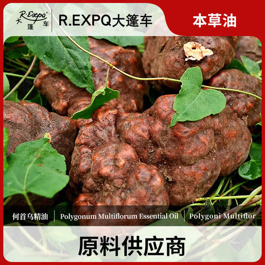 何首乌精油 单方精油原料批发芳疗护理调香 大篷车精油 商品图0