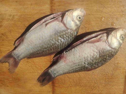 野生小银鱼，黄辣丁、罗非鱼、鲫鱼顺丰包邮 商品图5