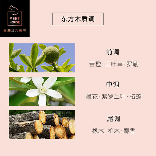 时光倒流的书店 50ml 商品图1