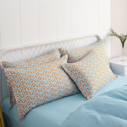 多喜爱-美眠康 摩卡绒套件 艾比利斯【分仓直发，72小时发货，周末节假日不发货】 商品图3