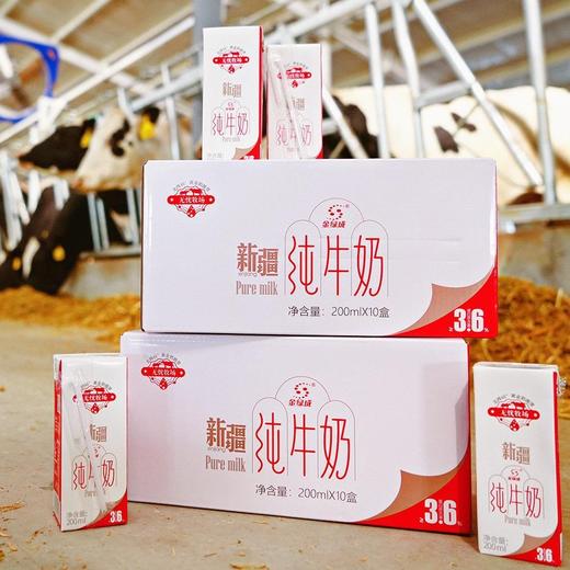 新疆无忧牧场纯牛奶200ml/盒 商品图0