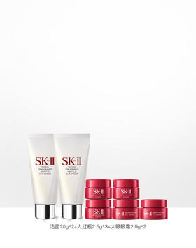 ZP2213111101  SK-II  SKII精选体验装D