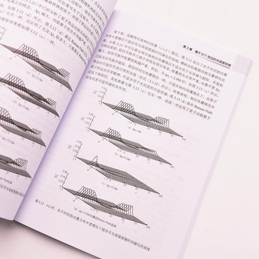 光信息的可逆存储及其在量子信息中的应用 商品图2