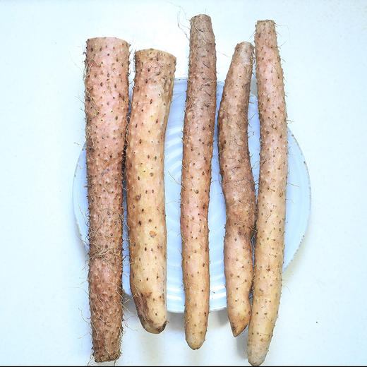 【5斤送100g鲜当归】有机糯山药 | 3斤/5斤 粉糯清甜 生态种植 雅安宝兴【每周一三五发货】 商品图4