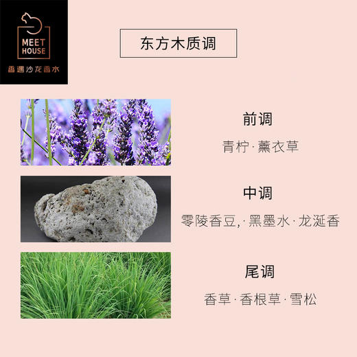 墨染梧桐影 50ml 100ml 商品图3