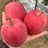 【顺丰快递】正宗陕西白水瑞香红苹果  新鲜当季水果 果园直采 原产地直发 - BBSPG 商品缩略图1
