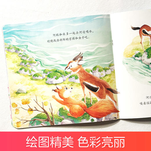 河面漂来一截木头:动物的伪装 商品图2