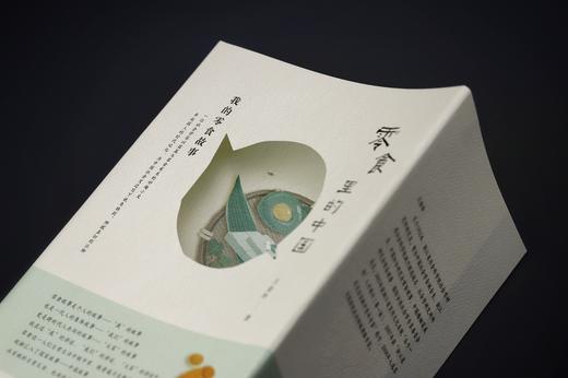 零食里的中国：我的零食故事  王金玲 著 社会科学文献出版社 社会学 日常生活现象学 中国故事 商品图1