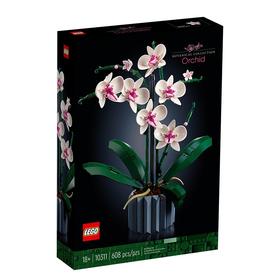 乐高(LEGO)兰花 家居摆件儿童玩具成人生日情人节礼物  njzx