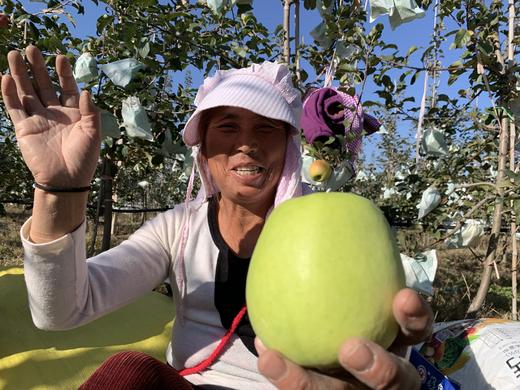 2025精品瑞雪---爸爸的苹果 商品图0