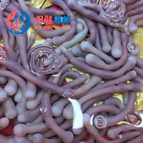 鲜活沙虫 /斤 商品图0