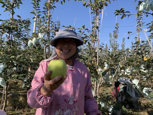 2025精品瑞雪---爸爸的苹果 商品图2