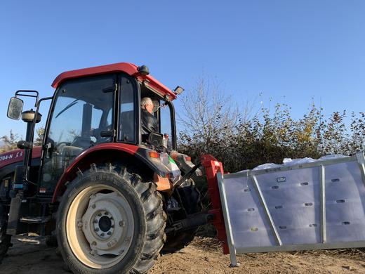 2025精品瑞雪---爸爸的苹果 商品图9