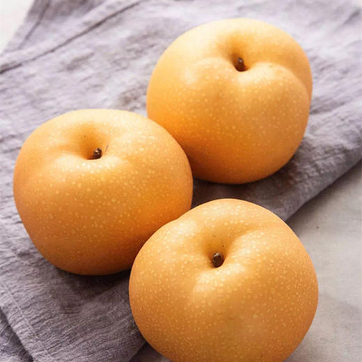 【山东秋月梨！现摘先发】秋梨青甜，爆汁化渣，农家种植网红爆汁化渣非丰水梨5新鲜水果大果现摘 商品图2