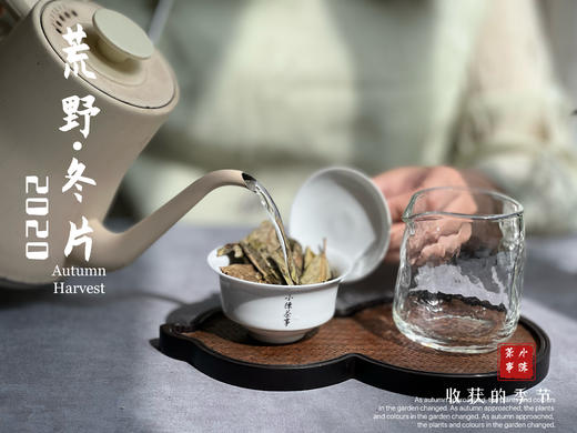 【稀缺好茶】荒野茶的独一无二，2020荒野冬片《金砖》问世 商品图10