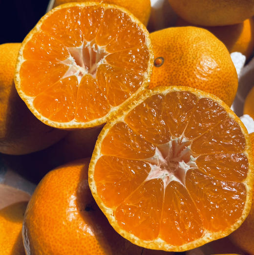 【下架倒计时一周】产地直邮-涌泉高山蜜桔 果肉细嫩化渣 鲜甜多汁 家庭装/贡品装 5斤/10斤 下单72小时发货～接近收官订单较多，大家可提前购买，排单发货～ 商品图0