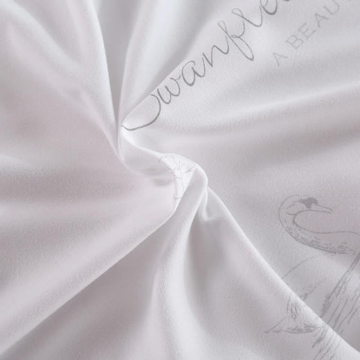 紫韵 秋冬梦之语赛鹅绒被 200*230 重量：2700g  羽丝纤维/鹅绒纤维 ZY-BY1612 商品图7