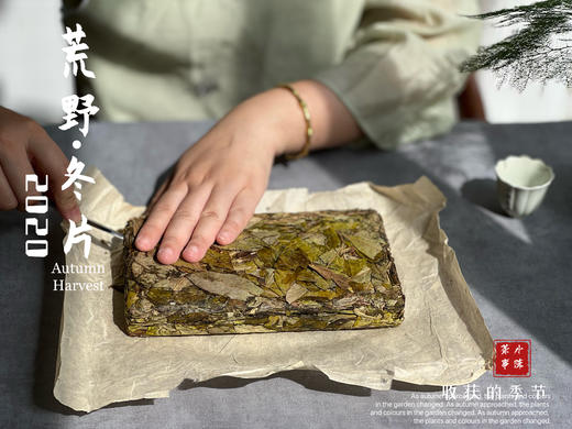 【稀缺好茶】荒野茶的独一无二，2020荒野冬片《金砖》问世 商品图4