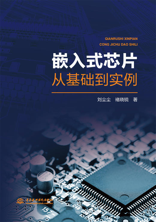 嵌入式芯片从基础到实例 商品图0