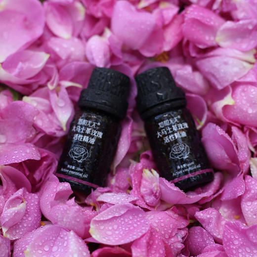 【大马士革玫瑰纯露】大马士革玫瑰 幕顶级的食用玫瑰，保加利亚官方合作基地纯种种苗，自然农法种植，桃花源中有玫瑰! 商品图5