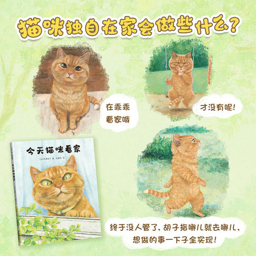 【多规格】今天猫咪看家+寻找自己名字的猫 商品图2