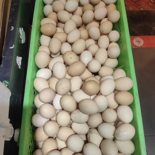 七里海散装鸡蛋 商品图0