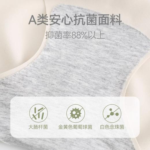 spring喜临 魅孕舒色低腰内裤 商品图4