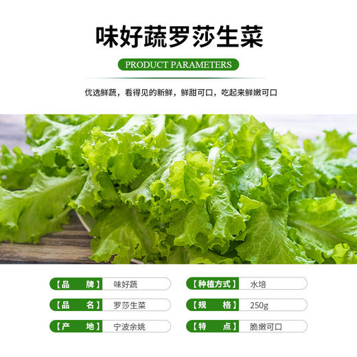 味好蔬水培罗莎生菜 250g/袋 各单品合计100元包邮 商品图4