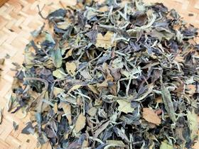 17 年日晒老白茶，花香凸显，青果香，滋味鲜爽，汤感醇厚饱满，冰糖甜，口若含糖的薄荷凉意