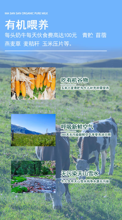 马三三有机纯牛奶·200ML*12盒    预售15天 商品图1