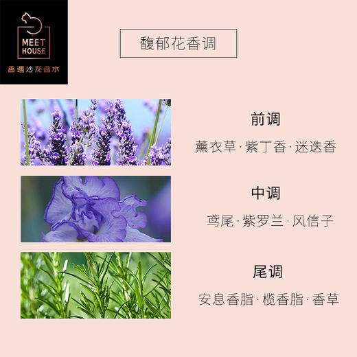 浮梦鸢尾50ml 100ml 商品图1